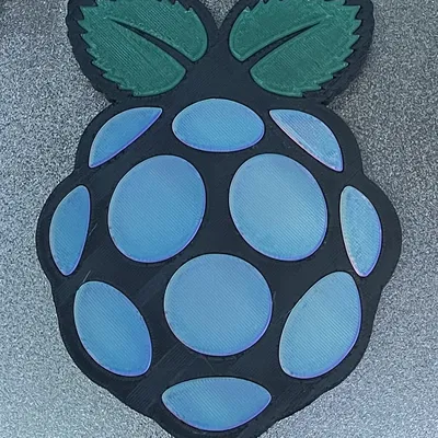 Tranh Treo Tường Logo RPI