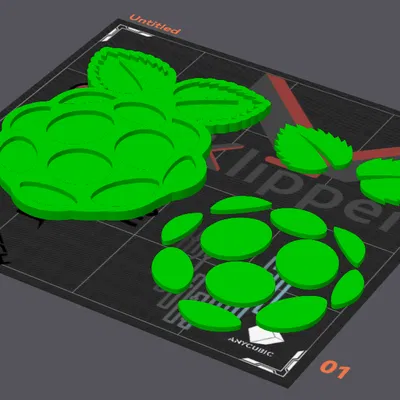 Tranh Treo Tường Logo RPI