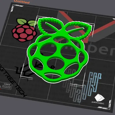 Tranh Treo Tường Logo RPI