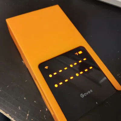 Hộp đựng nhiệt kế thịt Govee H5198 4 que