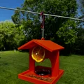 Chỗ Cho Chim Oriole Ăn - Thumbnail 1