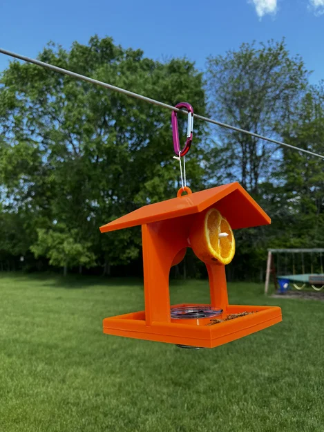 Chỗ Cho Chim Oriole Ăn - Image 2