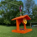 Chỗ Cho Chim Oriole Ăn - Thumbnail 2