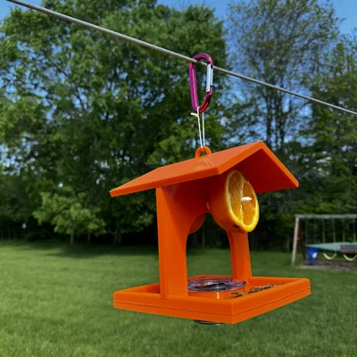 Chỗ Cho Chim Oriole Ăn