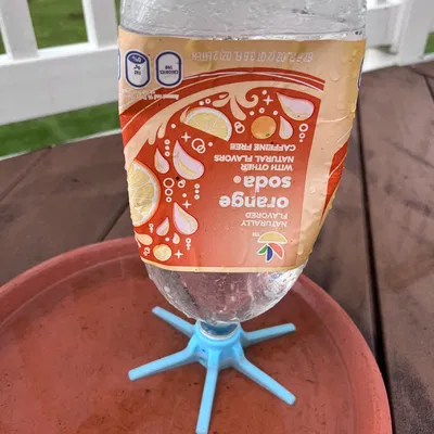 Nhà Tắm Chim Tự Đổ Nước