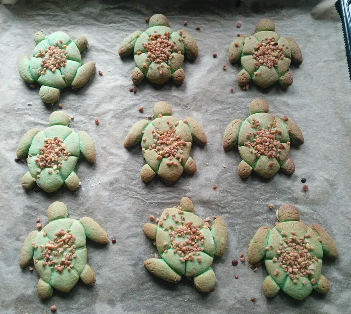 Khuôn Cắt Bánh Hình Con Rùa - Image 3