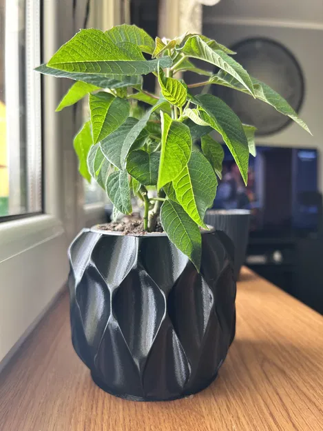 Chậu hoa văn tổ ong - Image 1