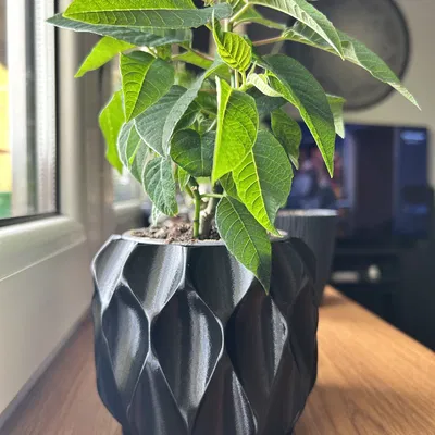 Chậu hoa văn tổ ong