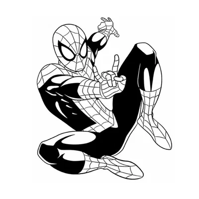 Mô Hình Spider-Man Trang Trí Tường Độc Đáo