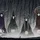 NicholasRodr_1696703