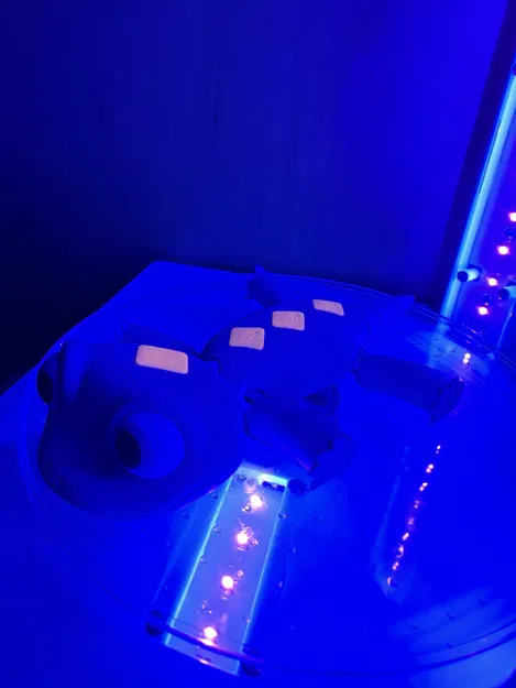 Bruni Frozen 2 (Dẻo) - Thằn Lằn Em Bé Dễ Thương - Image 2