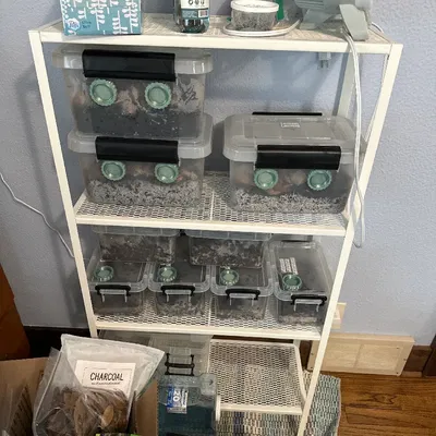 Lỗ thông hơi cho Isopod hoặc Bo mạch/Terrarium khác