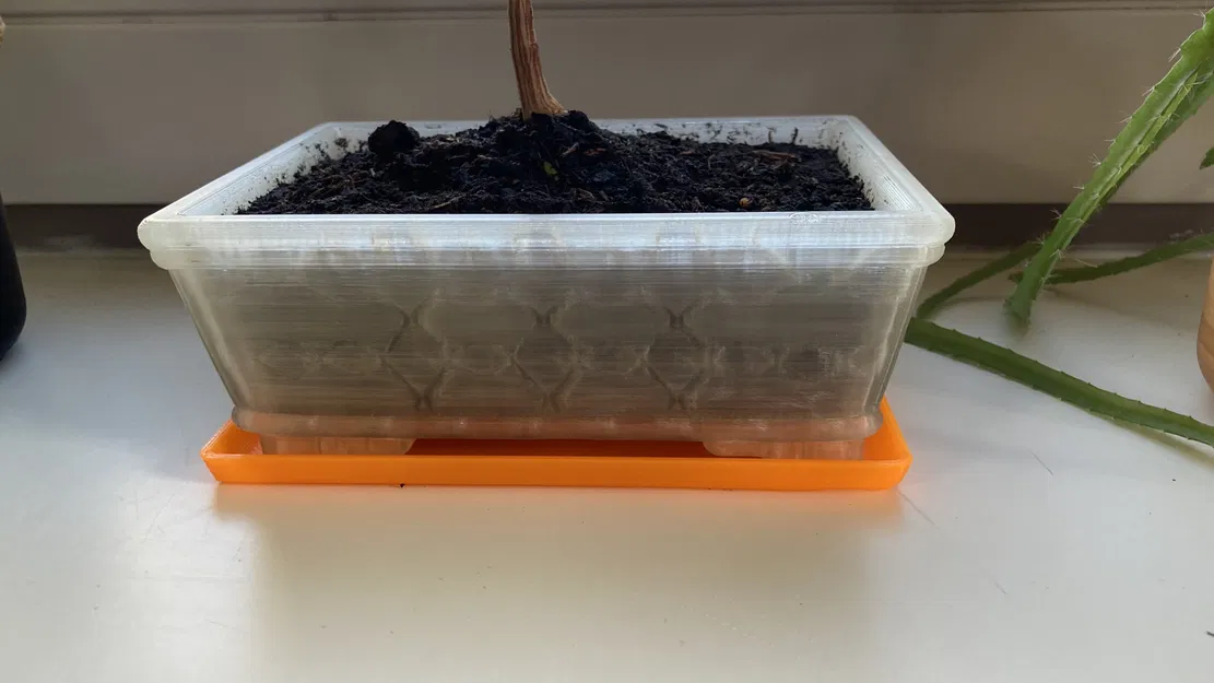 Khay bonsai hình chữ nhật - Image 1