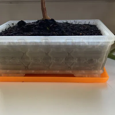 Khay bonsai hình chữ nhật