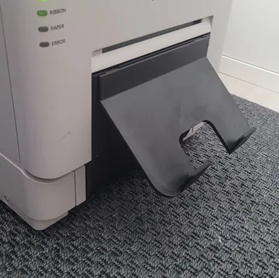 Khay Ảnh DNP DS-RX1HS