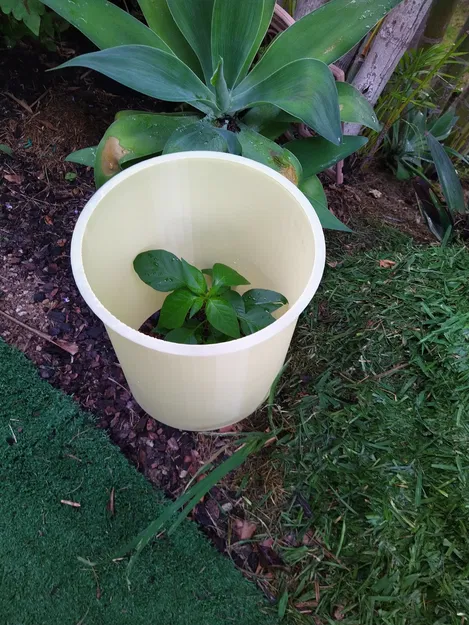 ỐNG BẢO VỆ CÂY TRỒNG - Image 2