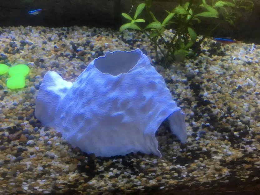 Hang động hồ cá - Image 1