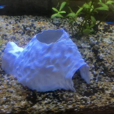 Hang động hồ cá