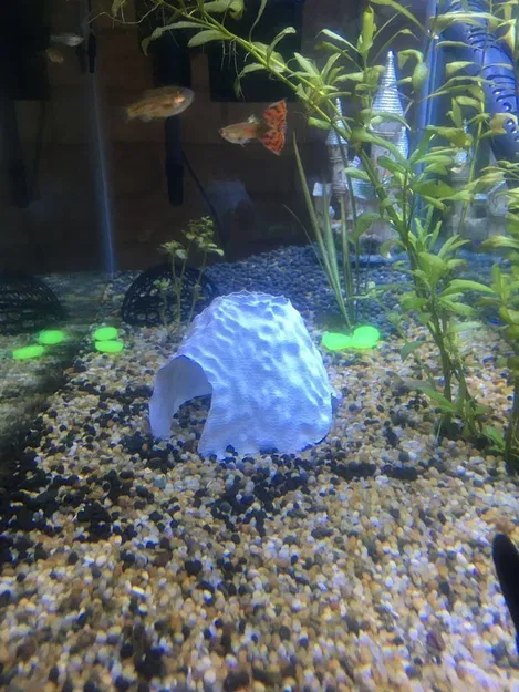 Hang động hồ cá - Image 2