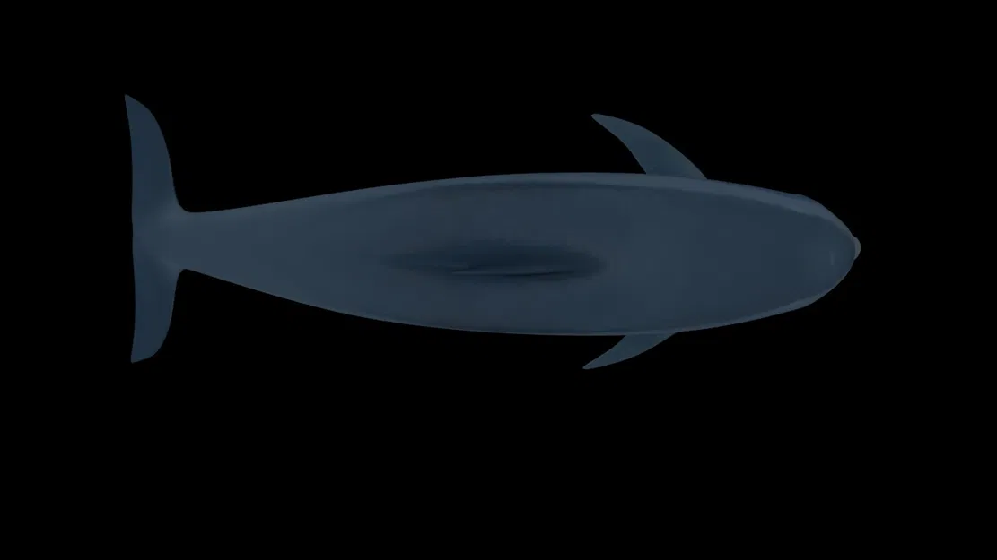 Mô hình cá heo chân thật - Image 2