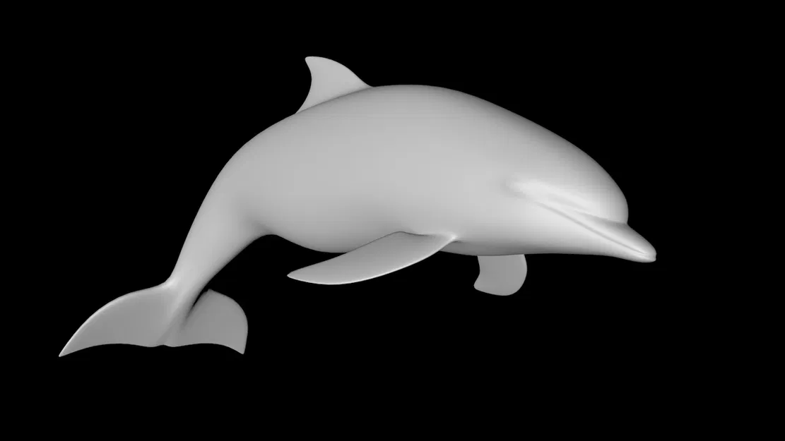 Mô hình cá heo chân thật - Image 3