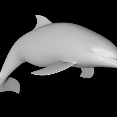 Mô hình cá heo chân thật