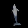 Mô hình cá heo chân thật - Thumbnail 4