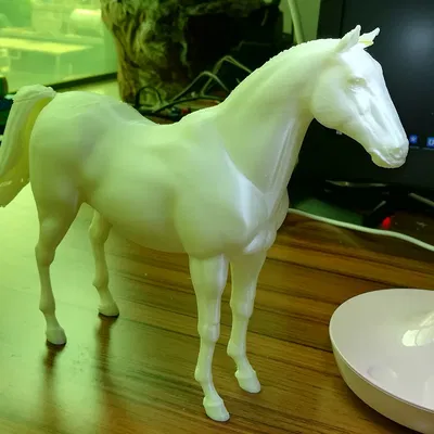 Mô Hình Ngựa
