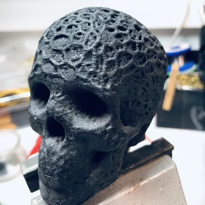 Hộp sọ hữu cơ