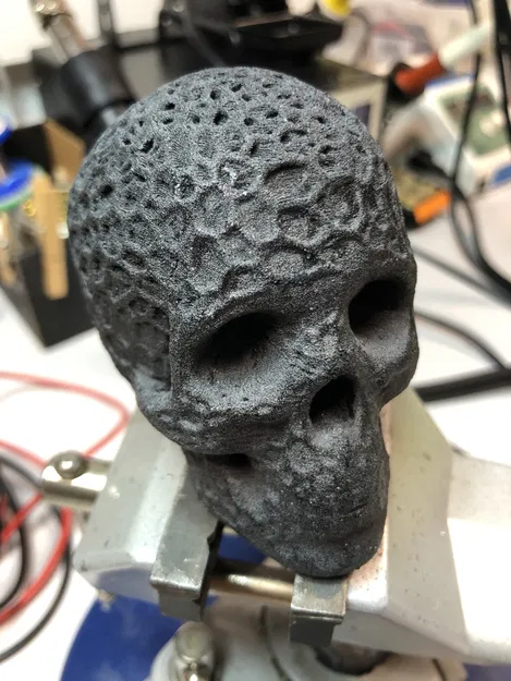 Hộp sọ hữu cơ - Image 2