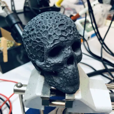 Hộp sọ hữu cơ