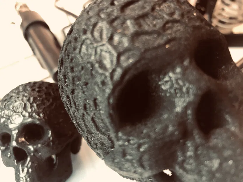 Hộp sọ hữu cơ - Image 4