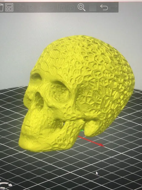 Hộp sọ hữu cơ - Image 5