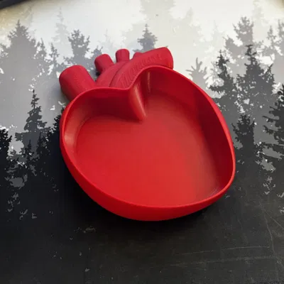 Tô Trái Tim - Giải Phẫu