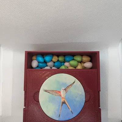 Hộp Đựng Trứng & Thức Ăn Cánh Cứng Có Nắp Trượt