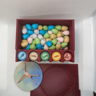 Hộp Đựng Trứng & Thức Ăn Cánh Cứng Có Nắp Trượt