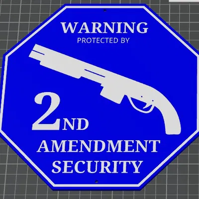 Biển An Ninh Tu Chính Án Số 2 Phiên Bản Súng Lục