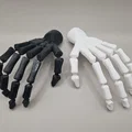 Bàn tay bộ xương (có thể cử động) - Thumbnail 1