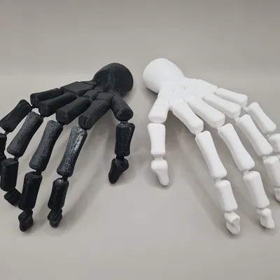 Bàn tay bộ xương (có thể cử động)
