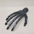 Bàn tay bộ xương (có thể cử động) - Thumbnail 3