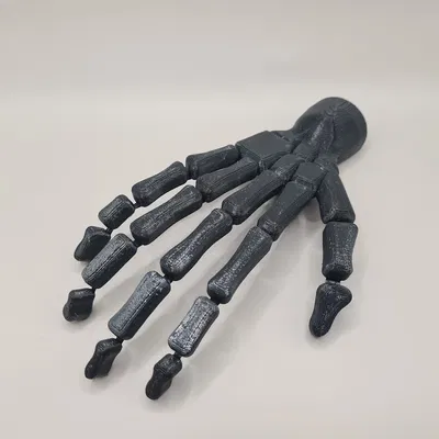 Bàn tay bộ xương (có thể cử động)