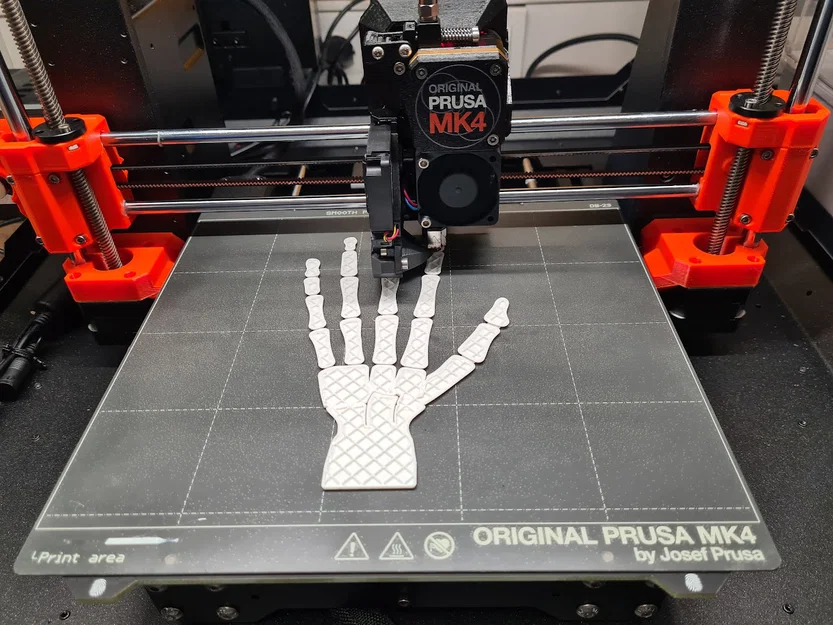 Bàn tay bộ xương (có thể cử động) - Image 5