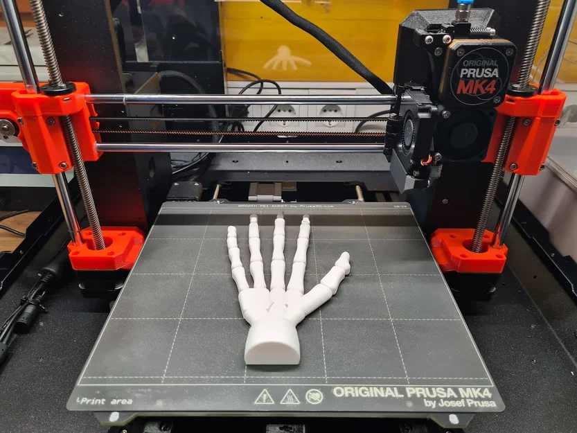 Bàn tay bộ xương (có thể cử động) - Image 6