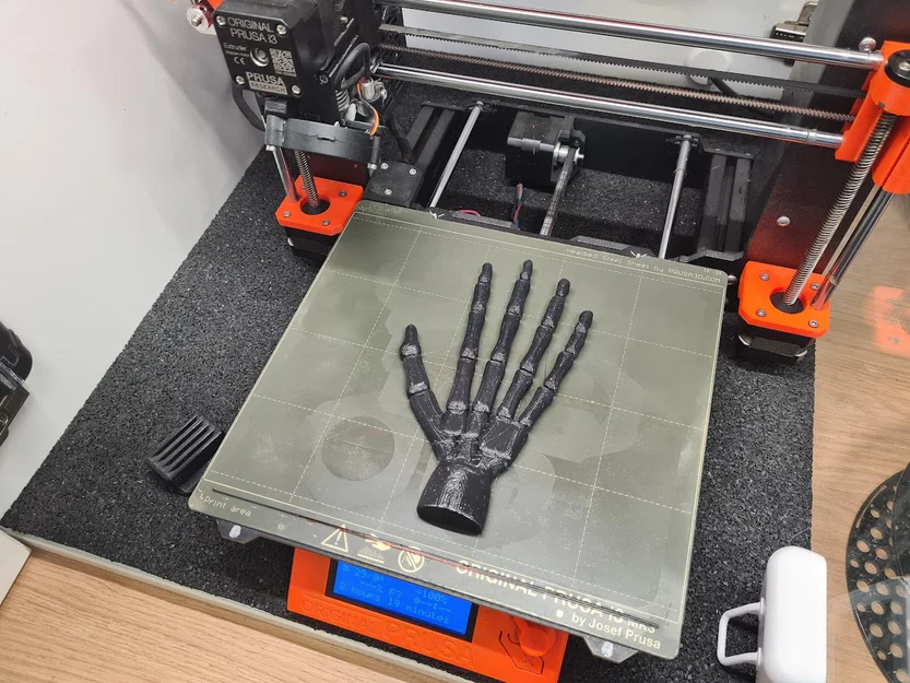 Bàn tay bộ xương (có thể cử động) - Image 7