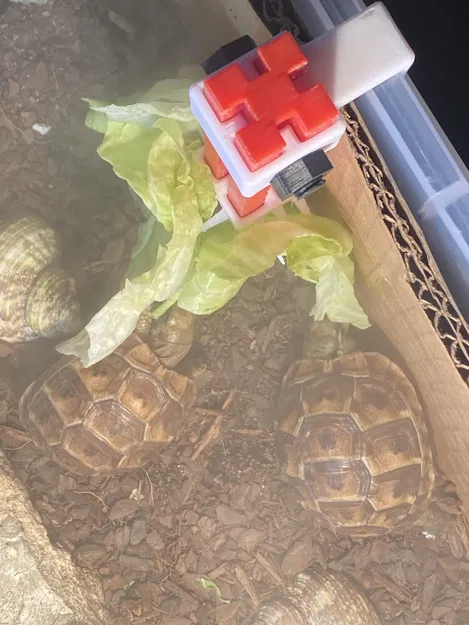 Thức Ăn Cho Rùa Cao Như Cành Cây - Image 2