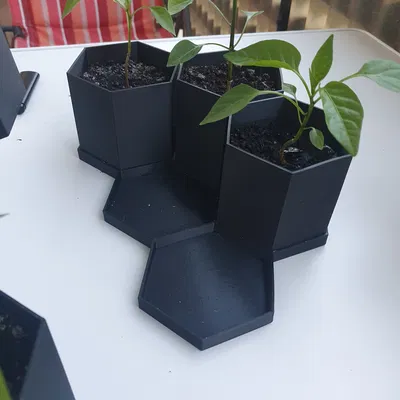 Chậu Lục Giác Đơn Giản