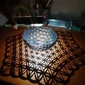 Hình Chiếu Lập Thể Hoa Cuộc Sống - Thumbnail 1