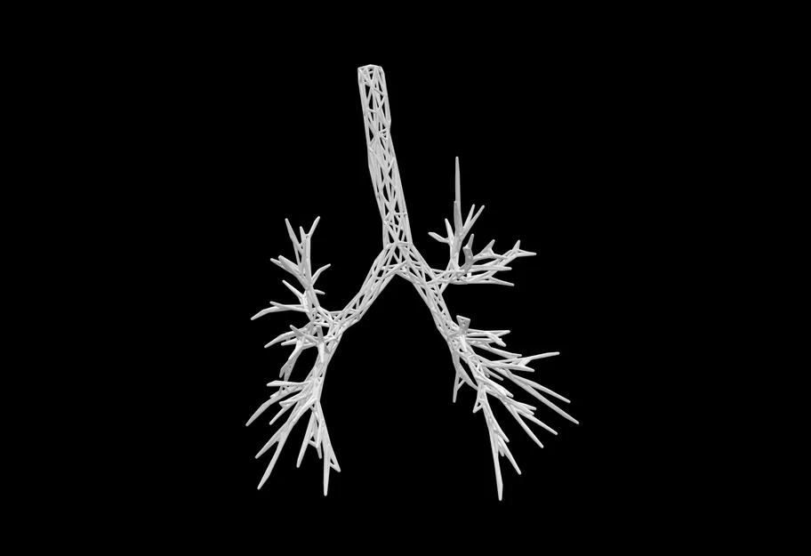 Mô hình đường dẫn khí dạng Wireframe - Image 1