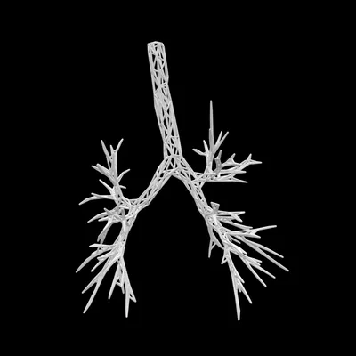 Mô hình đường dẫn khí dạng Wireframe