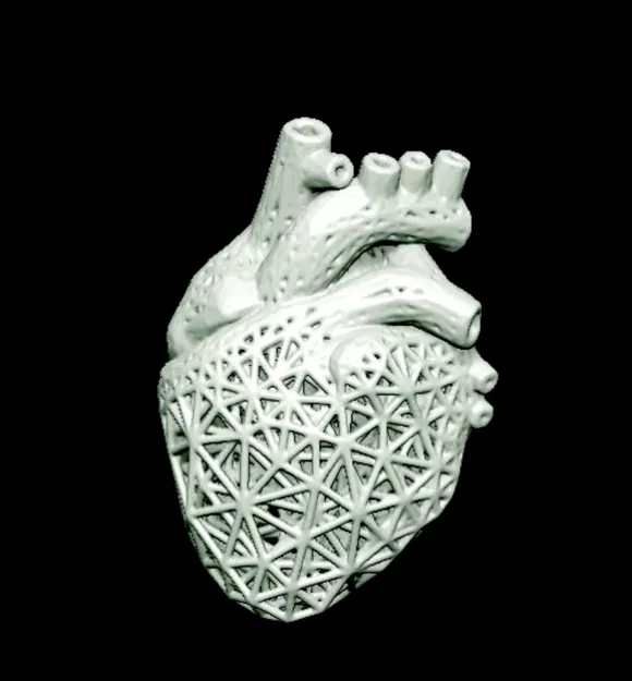 Trái Tim Dạng Lưới (Mesh Heart) - Image 1